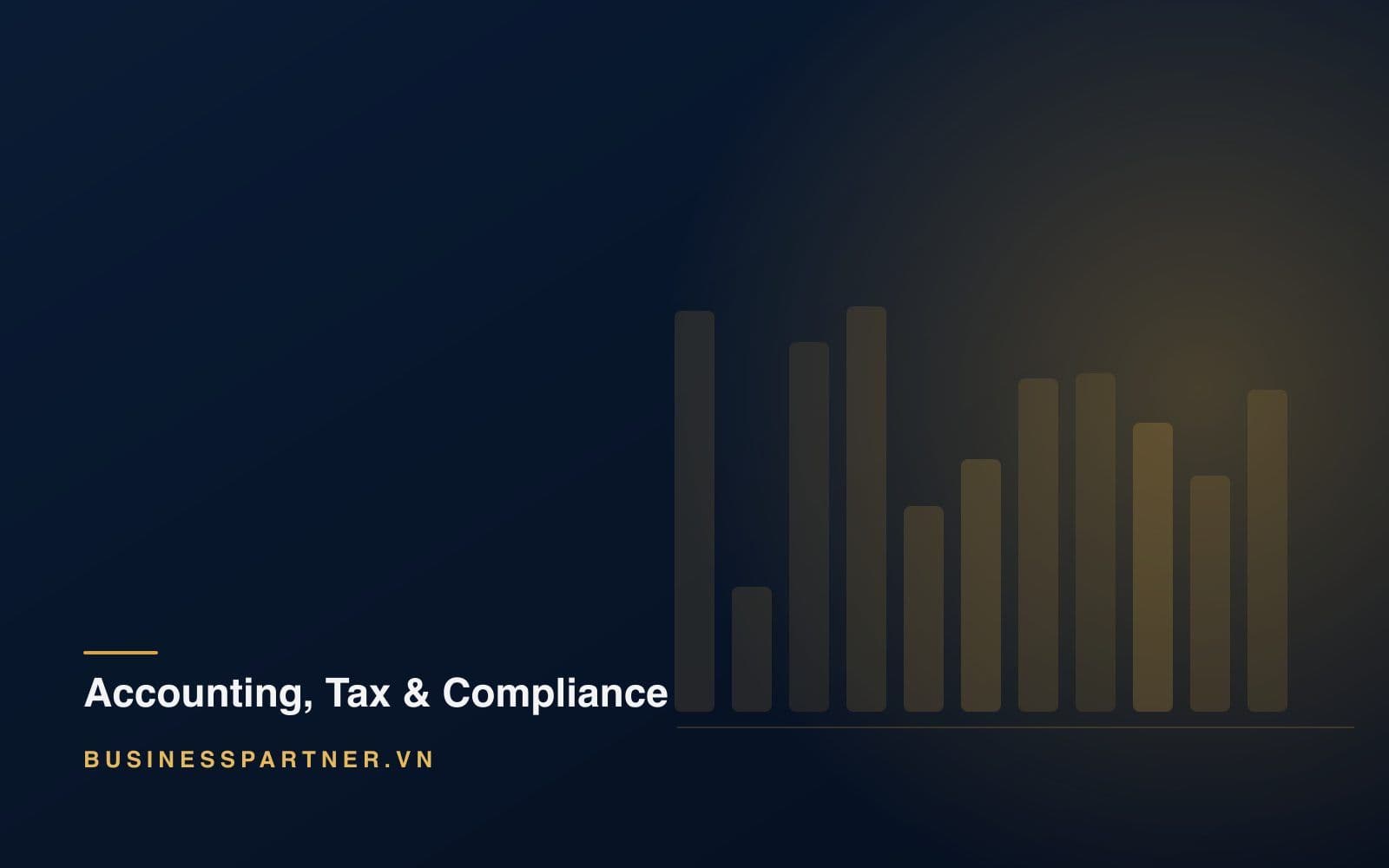 How to Choose an Accounting and Bookkeeping Provider in Vietnam