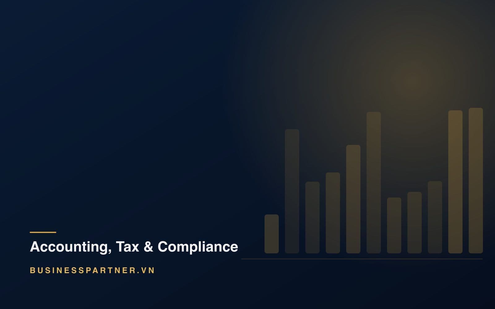 Year-End Tax Finalization in Vietnam: A Foreign CFO's Guide